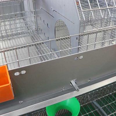 24 artículos fáciles de funcionamiento de la limpieza de las gradas de la jaula dos del conejo de la granja de la batería de las células