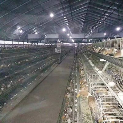 Una granja avícola de Duck Breeding Farming Cage For de la capa del pollo del marco