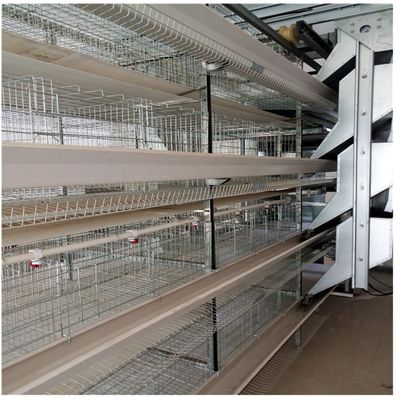H mecanografía a 128 pájaros el equipo de la avicultura de la jaula de batería de 4 capas