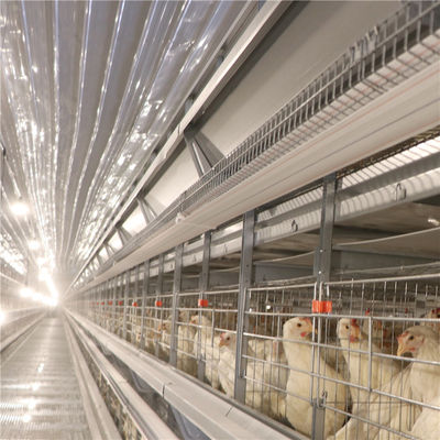 Resistencia de la corrosión de la granja avícola de la jaula del pollo de la capa de la batería del huevo del SGS
