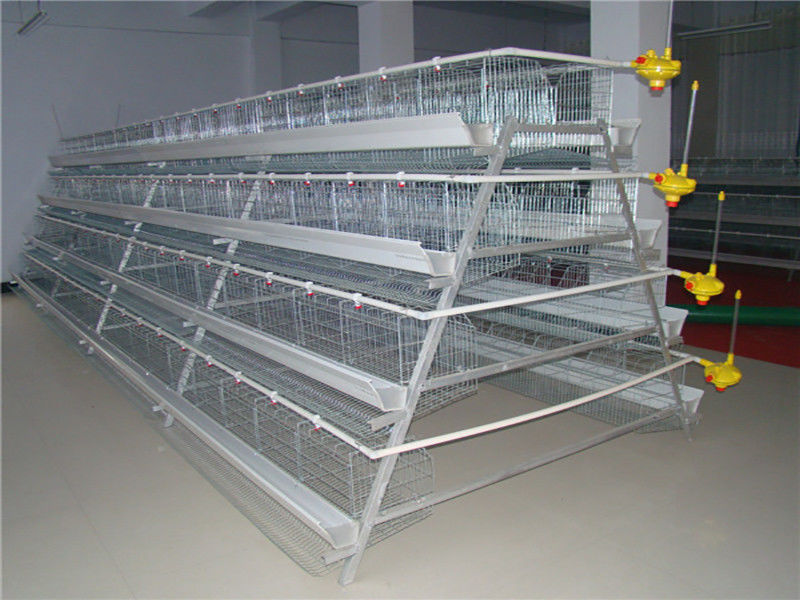 96-160 pájaros un tipo eficacia que se alza automática completa de la jaula de las aves de corral alta