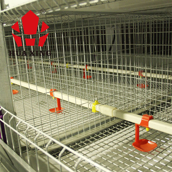 Jaula automática del pollo tomatero para el artículo animal del ganado de la agricultura de las aves de corral