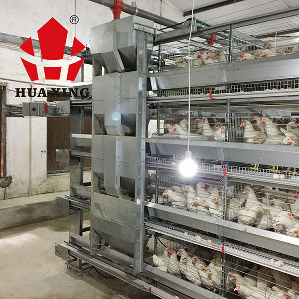 Alimentador automático del agua de la estructura racional para los pollos/el alimentador automático de las aves de corral para la parrilla