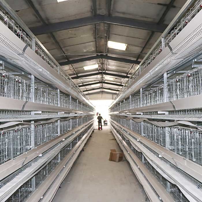 3 / jaula de la granja avícola de la capa de 4/5 gradas, jaulas de encargo de la gallina de batería del poder