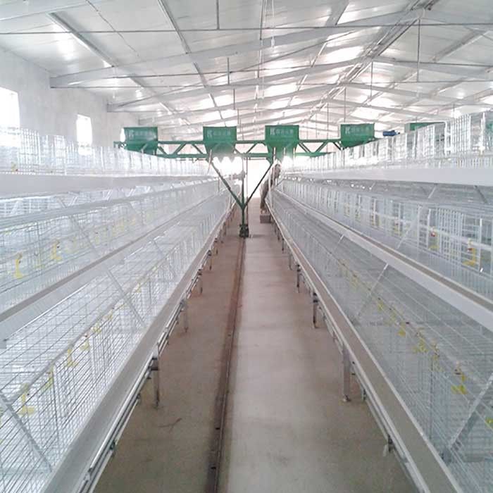El sistema sumergido caliente de la jaula del pollo tomatero, aves de corral de acero de Q235 High Tech enjaula