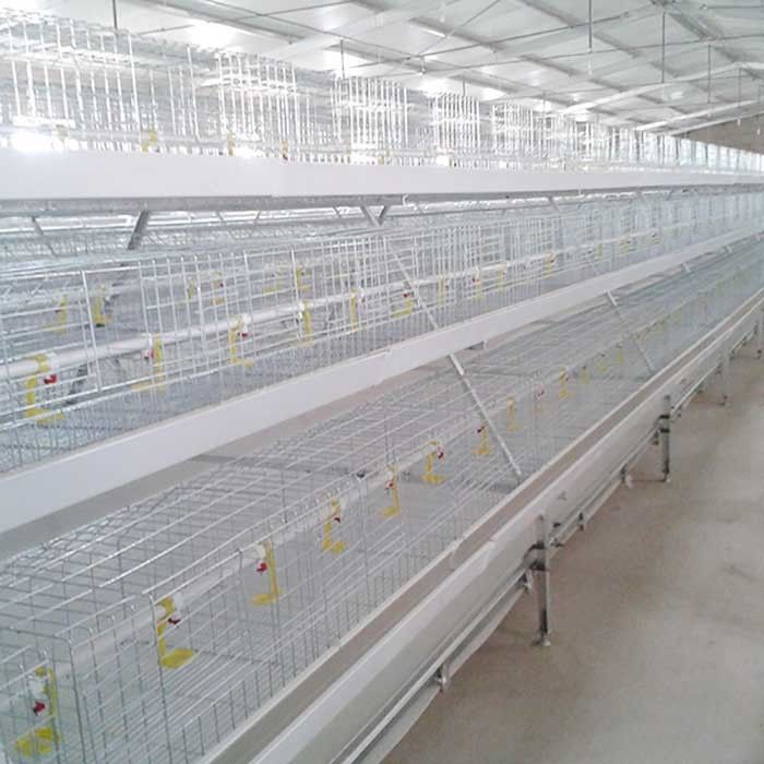 Jaula del gallinero del pollo tomatero de la alimentación auto, jaula modificada para requisitos particulares de la alimentación del pájaro del diseño