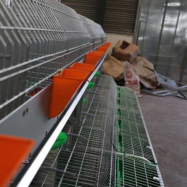 Mantenimiento fácil de la limpieza de la granja del conejo del funcionamiento estable auto grande de la jaula