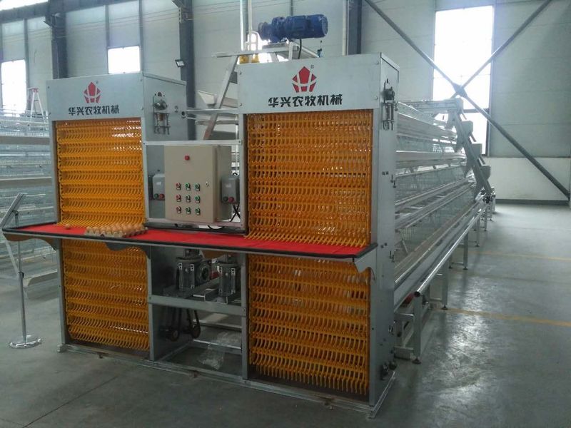 Henan Huaxing Poultry Equipments Co.,Ltd. línea de producción de fábrica