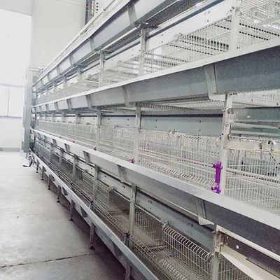 La inmersión caliente automática de la jaula del pollo tomatero de las puertas del marco 8 de H galvanizó