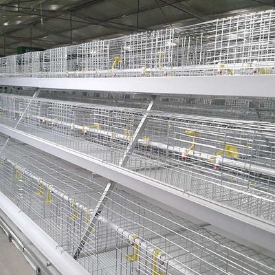 Jaula animal automática de 3 gradas, sistema de la jaula de la parrilla de 96 - 120 pájaros para la granja