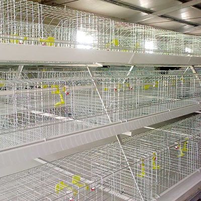 jaula del pollo del metal 0.75kw, jaulas con pilas automatizadas del control para las aves de corral