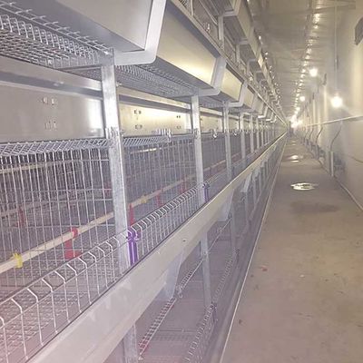 Puerta principal un tipo jaulas de la capa, jaula automática del pollo del diámetro del alambre de 2.3m m - de 4.2m m