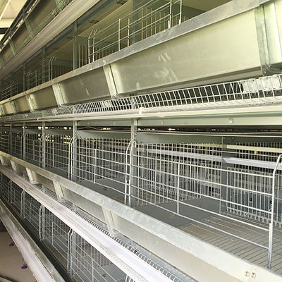 Tipo equipo automático de la Arabia Saudita H de la avicultura del sistema Indonesia de la jaula del pollo de la batería