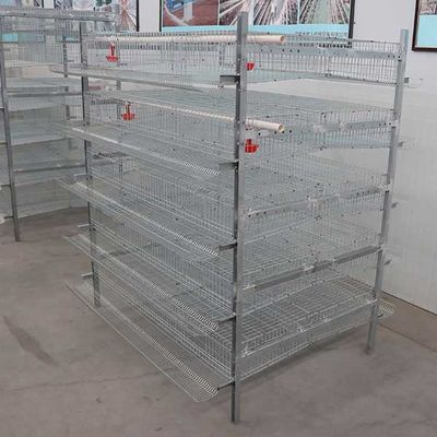 380V / artículo de la jaula de las codornices de la grada 220V 6 para el modelo de la industria HXQC5 de la cría de las codornices