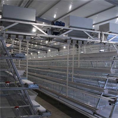 Alimentador de alta velocidad durable de la granja avícola, dispensador automático de la comida del pollo