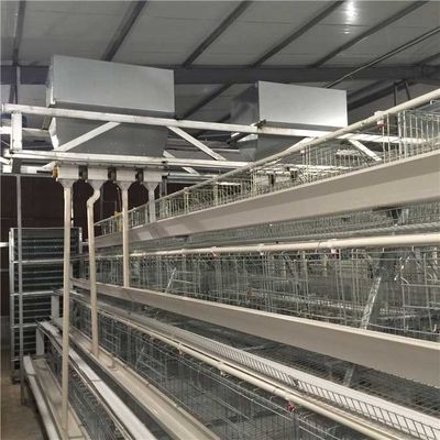 Alta confiabilidad del pequeño de la huella de las aves de corral sistema automático del alimentador fácil de utilizar