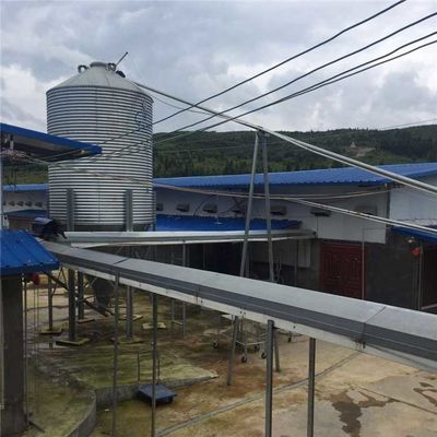 Equipo galvanizado de la avicultura 15 toneladas de capacidad para la alimentación de pollo