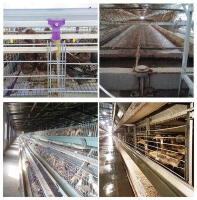 Tipo de alimentación automático jaulas de batería, jaula de H de la pequeña área para el cultivo de la capa