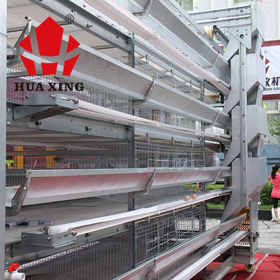 Pollo completamente automático del aumento de Chick Battery Poultry Cage For del bebé de 192 pájaros
