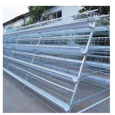 Jaulas comerciales de encargo del pollo de la carne, Chick Breeding Cage durable