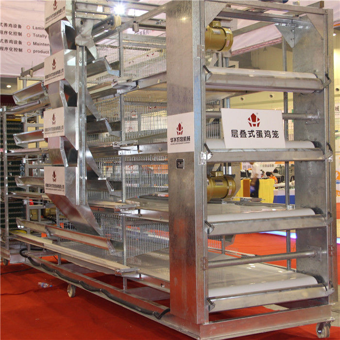 Tipo 4 bebé Chick Cage Hot Galvanized Steel de H de la puerta de la capa 4