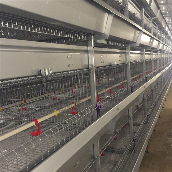 Tipo diseño de 4 gradas H del empollamiento de los pájaros de Chick Cage 192 del bebé