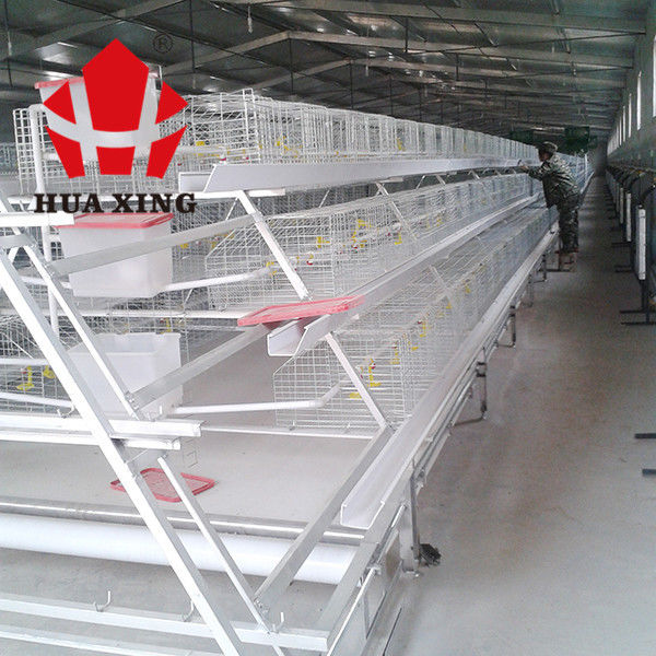 Un tipo 3 gradas que crecen parrillas en las jaulas, equipamiento agrícola color plata de la parrilla