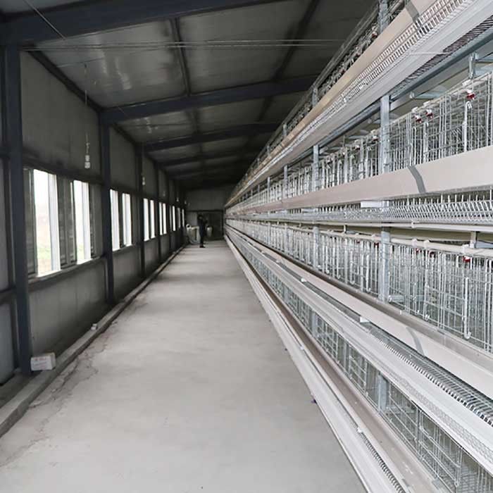 Capa atada con alambre tenencia del huevo que cultiva la jaula, jaulas diseñadas científicas de la gallina de la capa