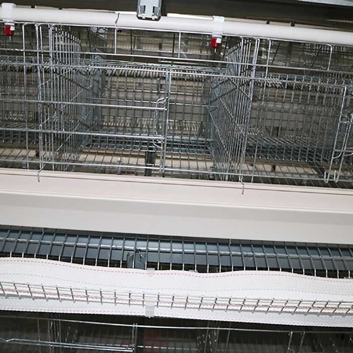 Artículo un tipo aprobación del control automático IS9001 del sistema de la jaula del pollo de la capa