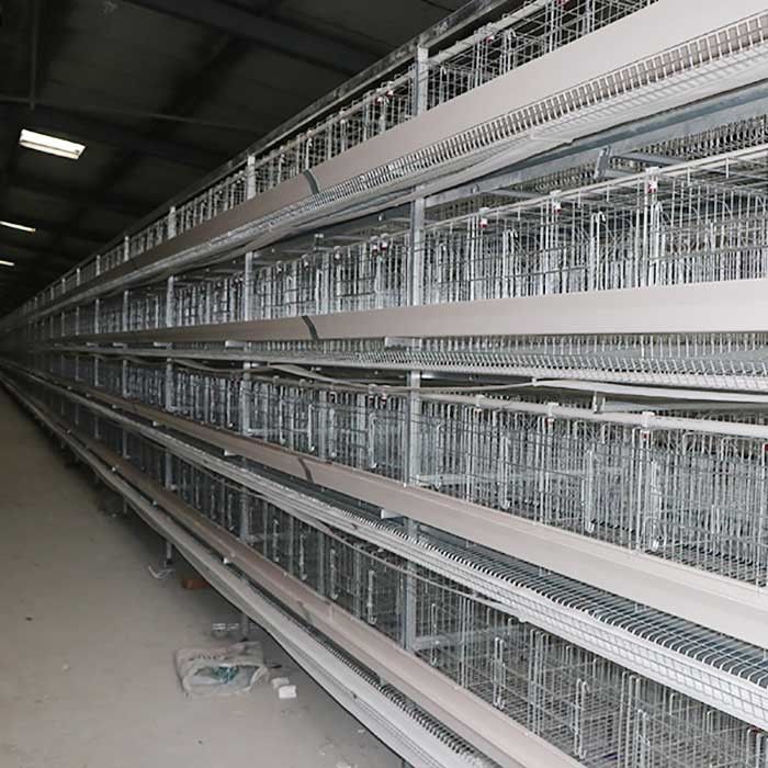 Gallinero que alza el sistema de la jaula de batería de la avicultura, un tipo jaulas de la capa para el pollo