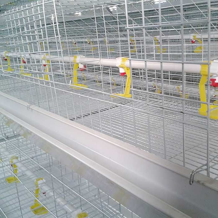 Durabilidad de las puertas de las gradas 8 de la jaula 4 del pollo de las aves de corral del ganado de la agricultura alta