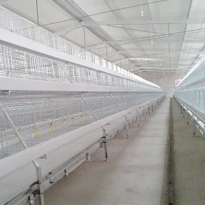 Durabilidad de las puertas de las gradas 8 de la jaula 4 del pollo de las aves de corral del ganado de la agricultura alta