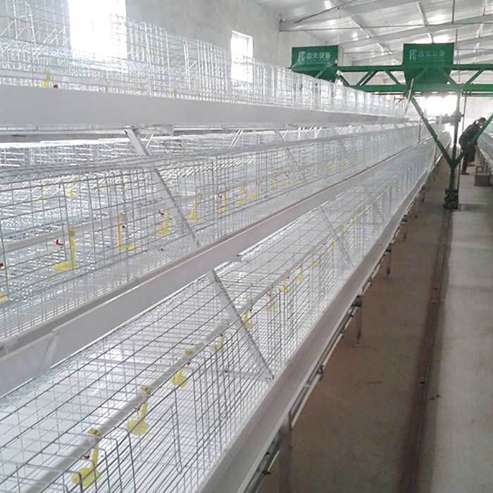 Capacidad potente interior de los pájaros de la jaula 96 - 120 del pollo tomatero con el sistema del abono