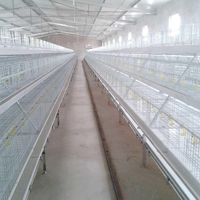 4 alambre retirado a frío de la jaula Q235 del pollo tomatero de las puertas de las gradas 8 que suelda con autógena elasticidad grande