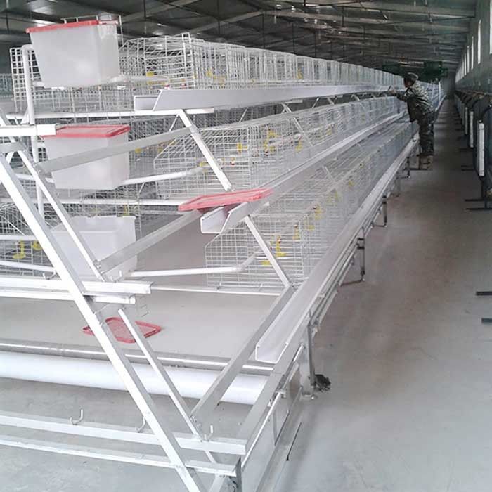 Jaulas comerciales de encargo del pollo de la carne, Chick Breeding Cage durable