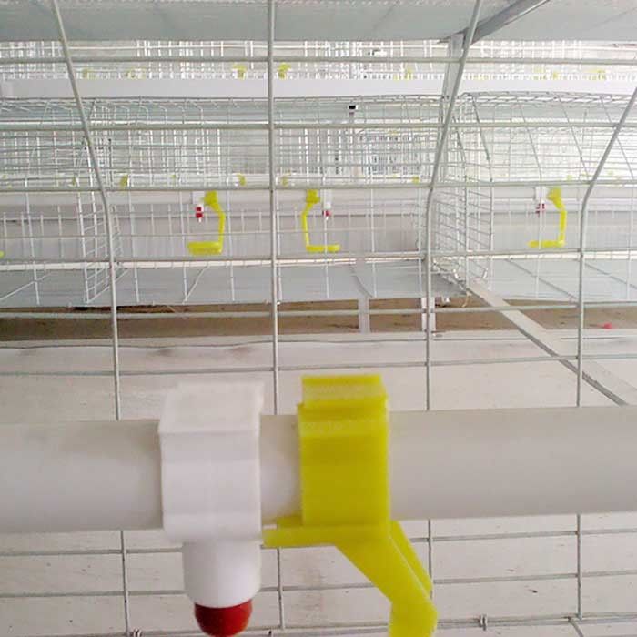Jaulas comerciales de encargo del pollo de la carne, Chick Breeding Cage durable