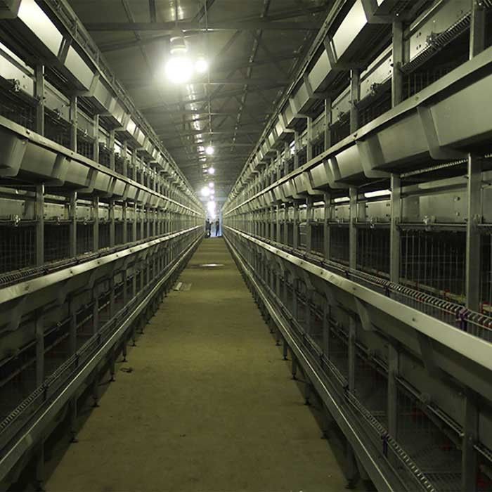 jaula para los polluelos, 24 jaulas de la gallina clueca de 195 * de 50 * 35cm del aislamiento del pollo de las puertas
