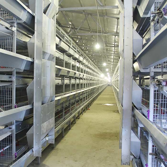 Puerta principal un tipo jaulas de la capa, jaula automática del pollo del diámetro del alambre de 2.3m m - de 4.2m m