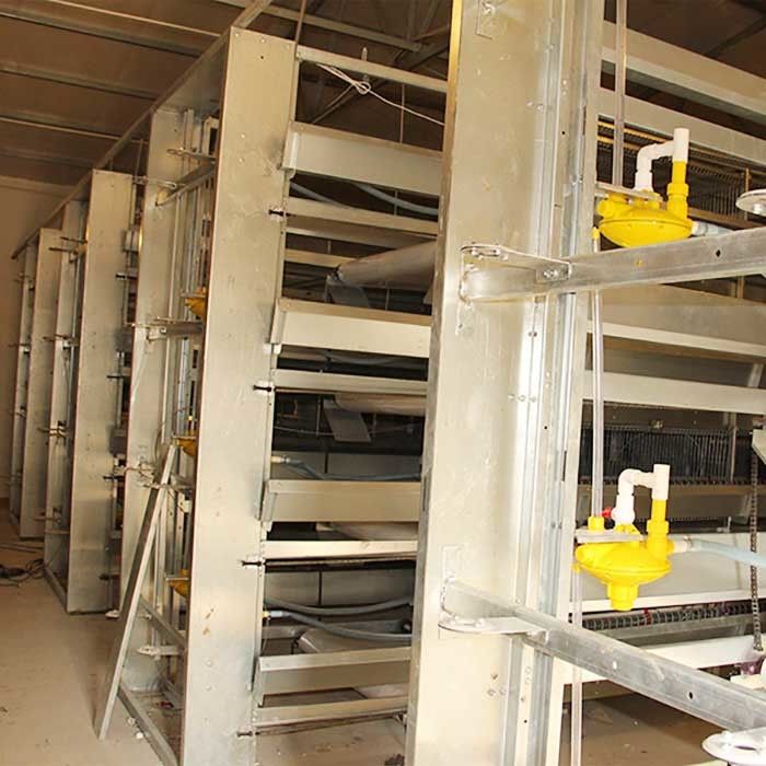 Tipo 4 jaulas modernas de las aves de corral de la grada, el 120CM de H fácil instalar jaulas del pollo del edificio