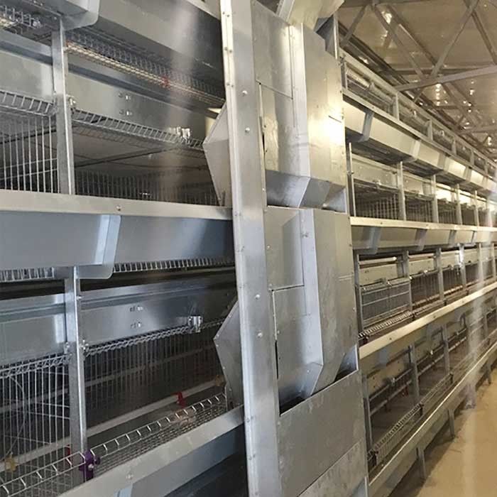 Puerta principal un tipo jaulas de la capa, jaula automática del pollo del diámetro del alambre de 2.3m m - de 4.2m m