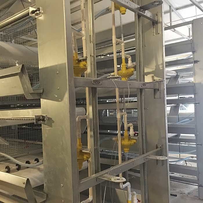 Alto rendimiento del bebé Q235 del polluelo de las puertas multi de acero rígidas de la jaula para la granja