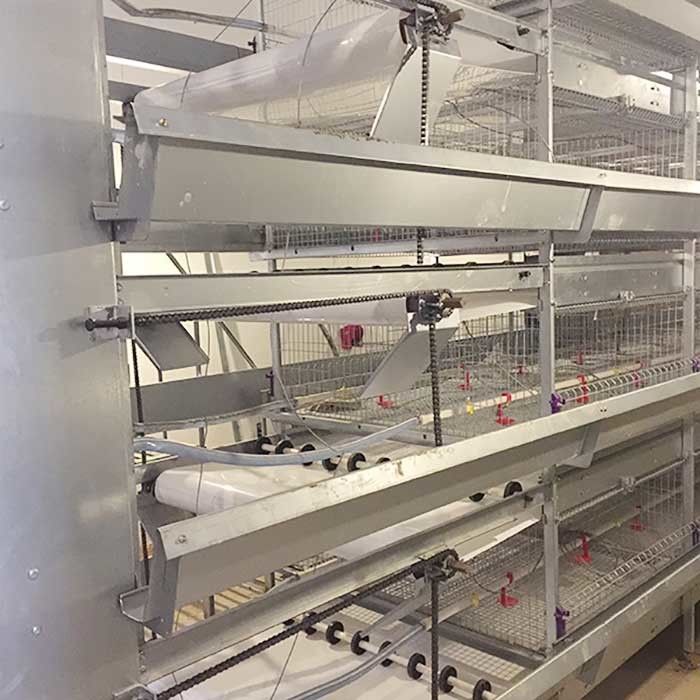 Puerta principal un tipo jaulas de la capa, jaula automática del pollo del diámetro del alambre de 2.3m m - de 4.2m m