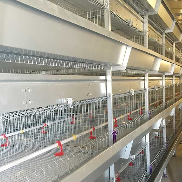 4 jaula de la gallina clueca de la grada 195CM para los polluelos un tipo material galvanizado del acero Q235