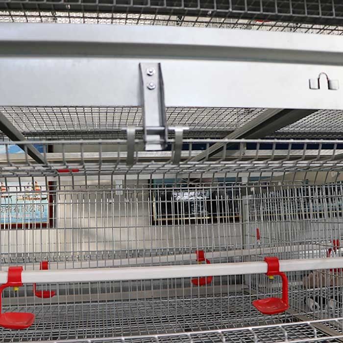 Servicio moderno comercial del arreglo para requisitos particulares de las puertas de la capacidad grande 8 de la jaula del polluelo del bebé
