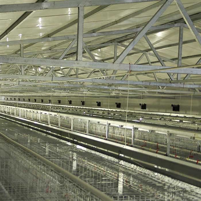 Equipo de la avicultura de la batería, tipo durable 192 jaula de H del pollo del bebé