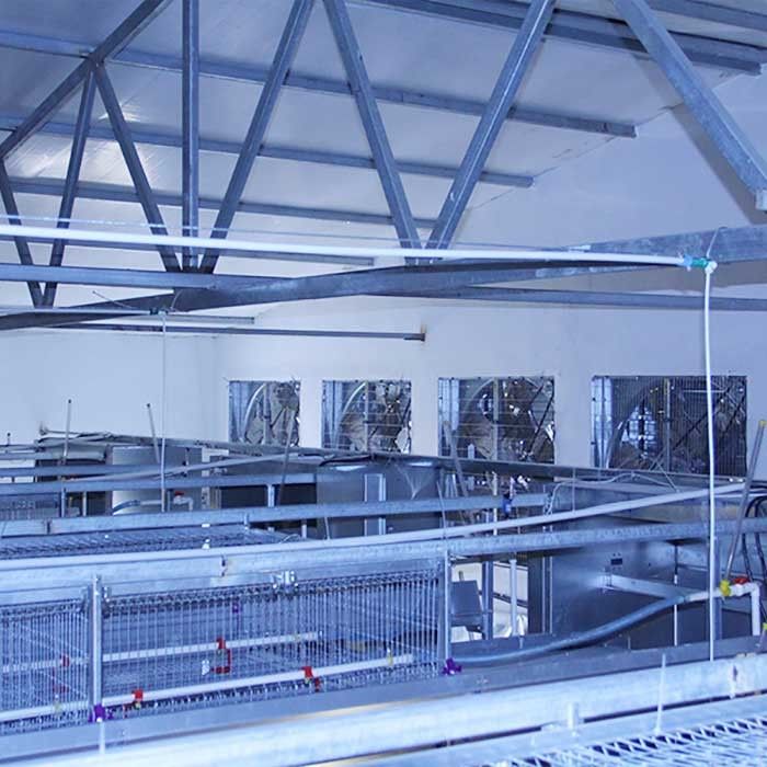 Equipo de la avicultura de la batería, tipo durable 192 jaula de H del pollo del bebé