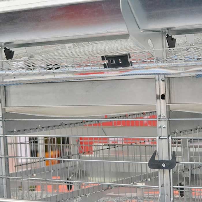 La jaula del pollo de la capa del alambre de acero Q235 crea para requisitos particulares con el sistema de alimentación/de consumición