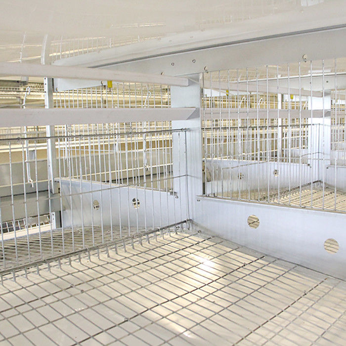 Tipo galvanizado sumergido caliente jaula de las aves de corral, jaula corriente de H del alambre de pollo del alimentador