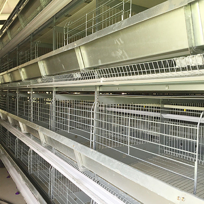 Tipo equipo automático de la Arabia Saudita H de la avicultura del sistema Indonesia de la jaula del pollo de la batería