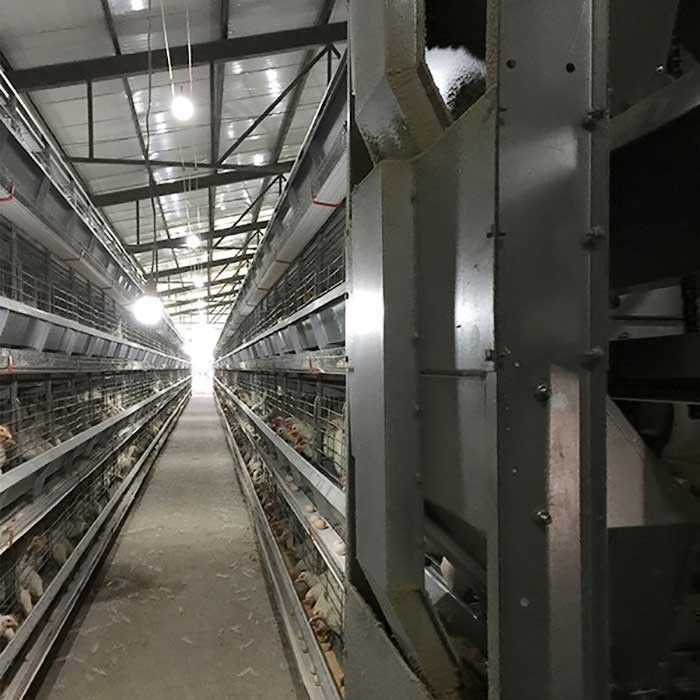 Jaula de batería corriente del alimentador para las aves de corral, jaulas modernas del pollo de la altura de encargo